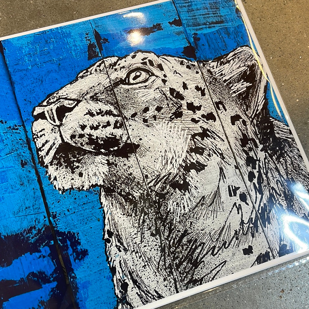 Art Prints 8x12