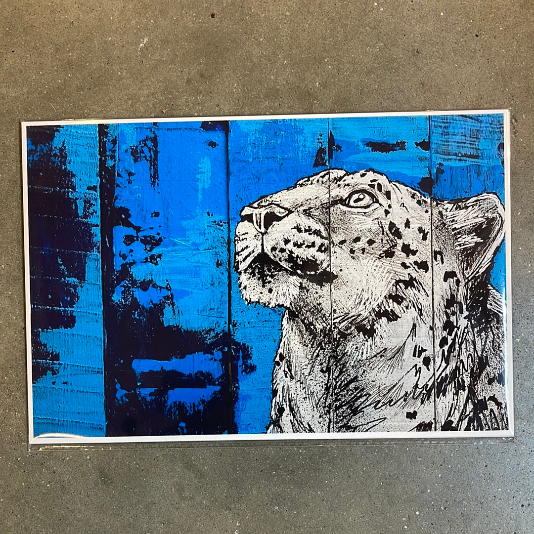 Art Prints 8x12