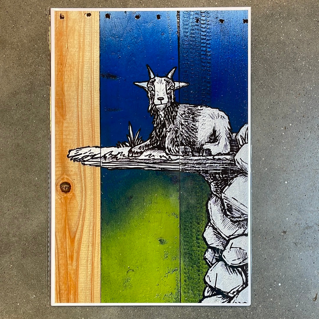 Art Prints 8x12
