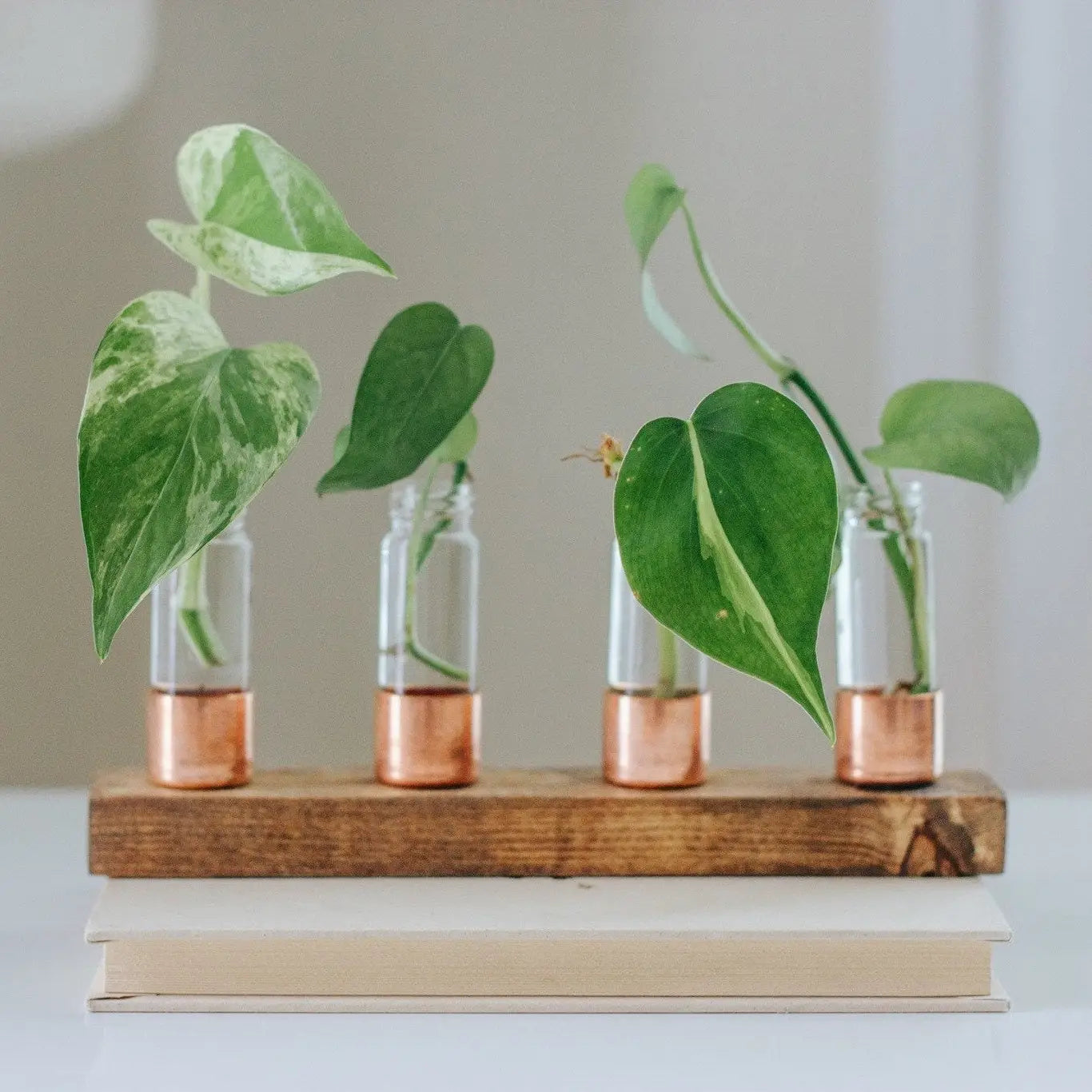 Copper Vase Propagation Station