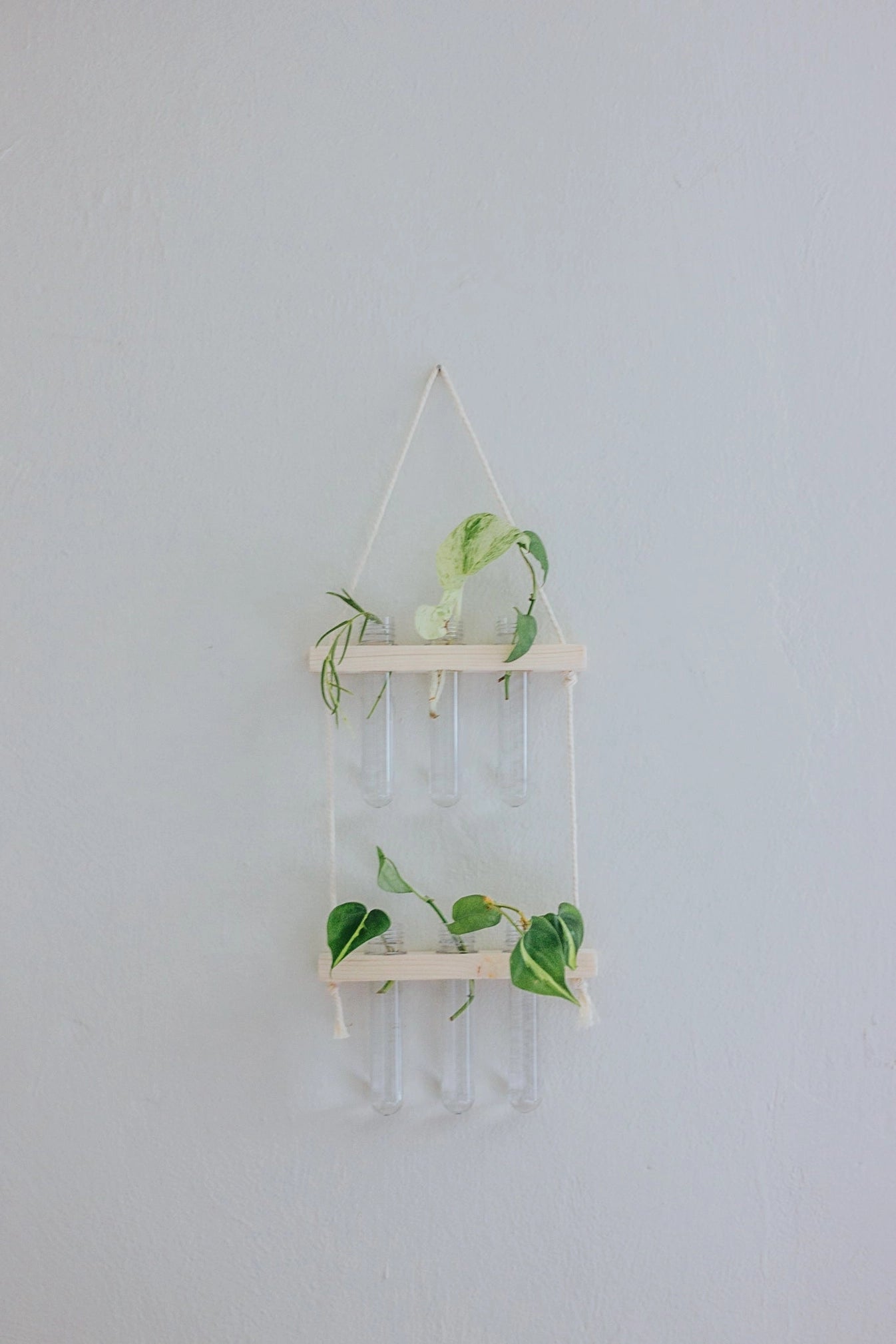 Hanging Propagation Station
