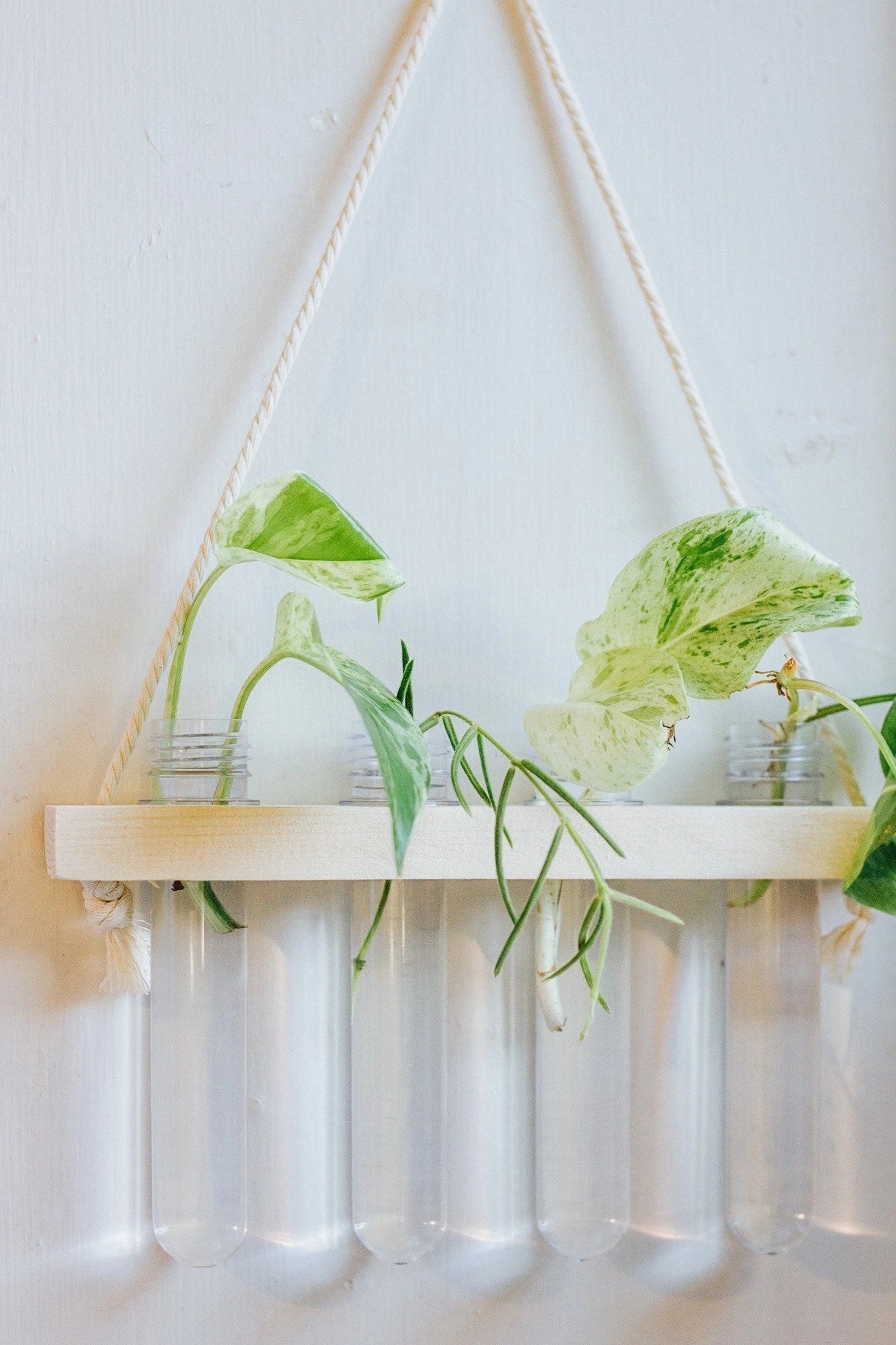 Hanging Propagation Station