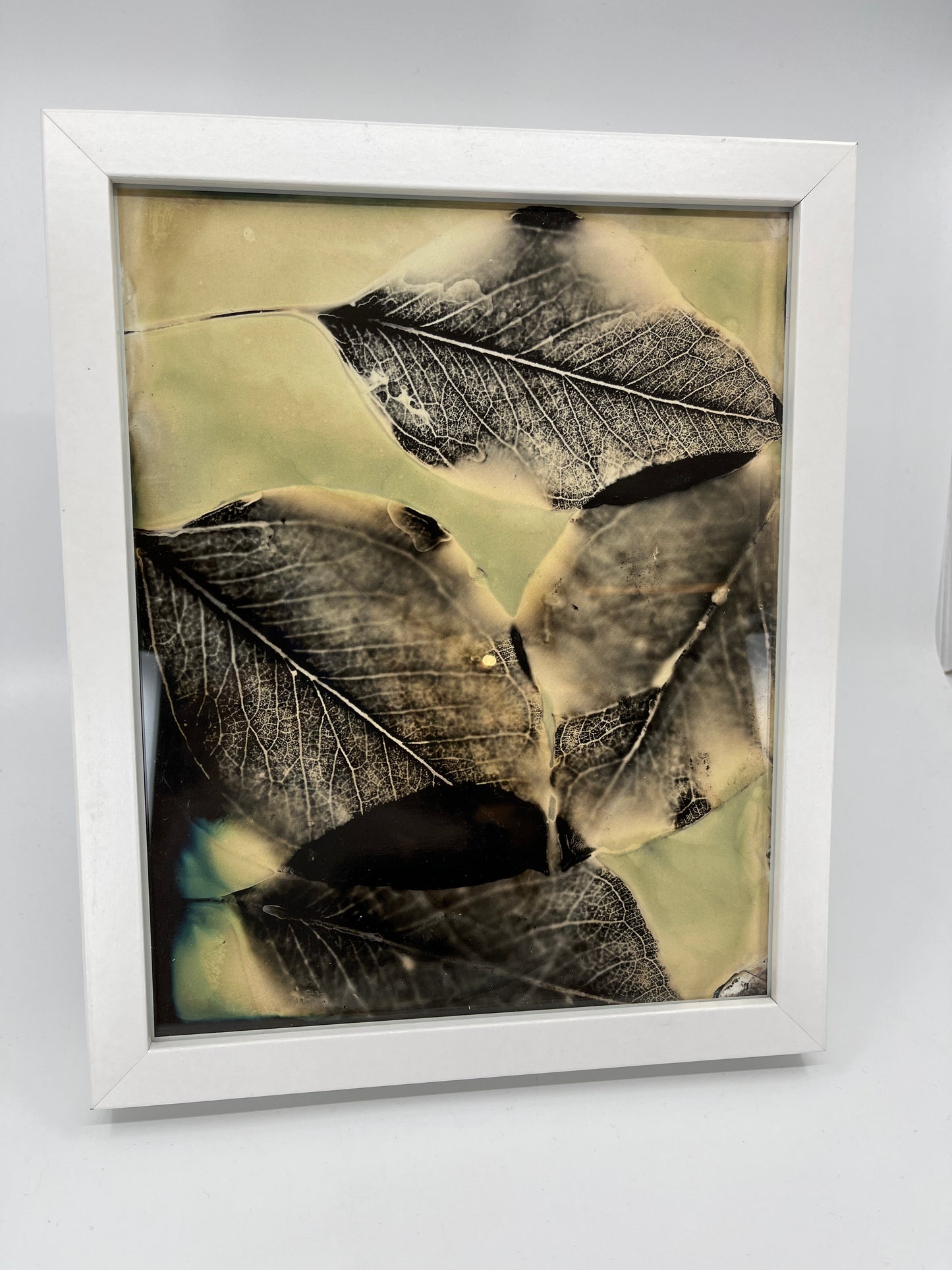 Photogram Print in 8 X 10 Frame