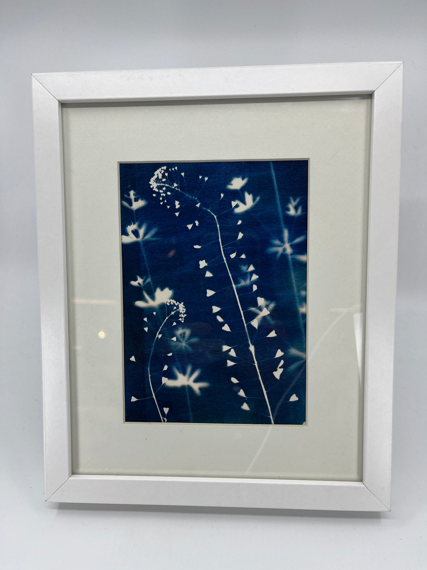 Photogram Print in 8 X 10 Frame