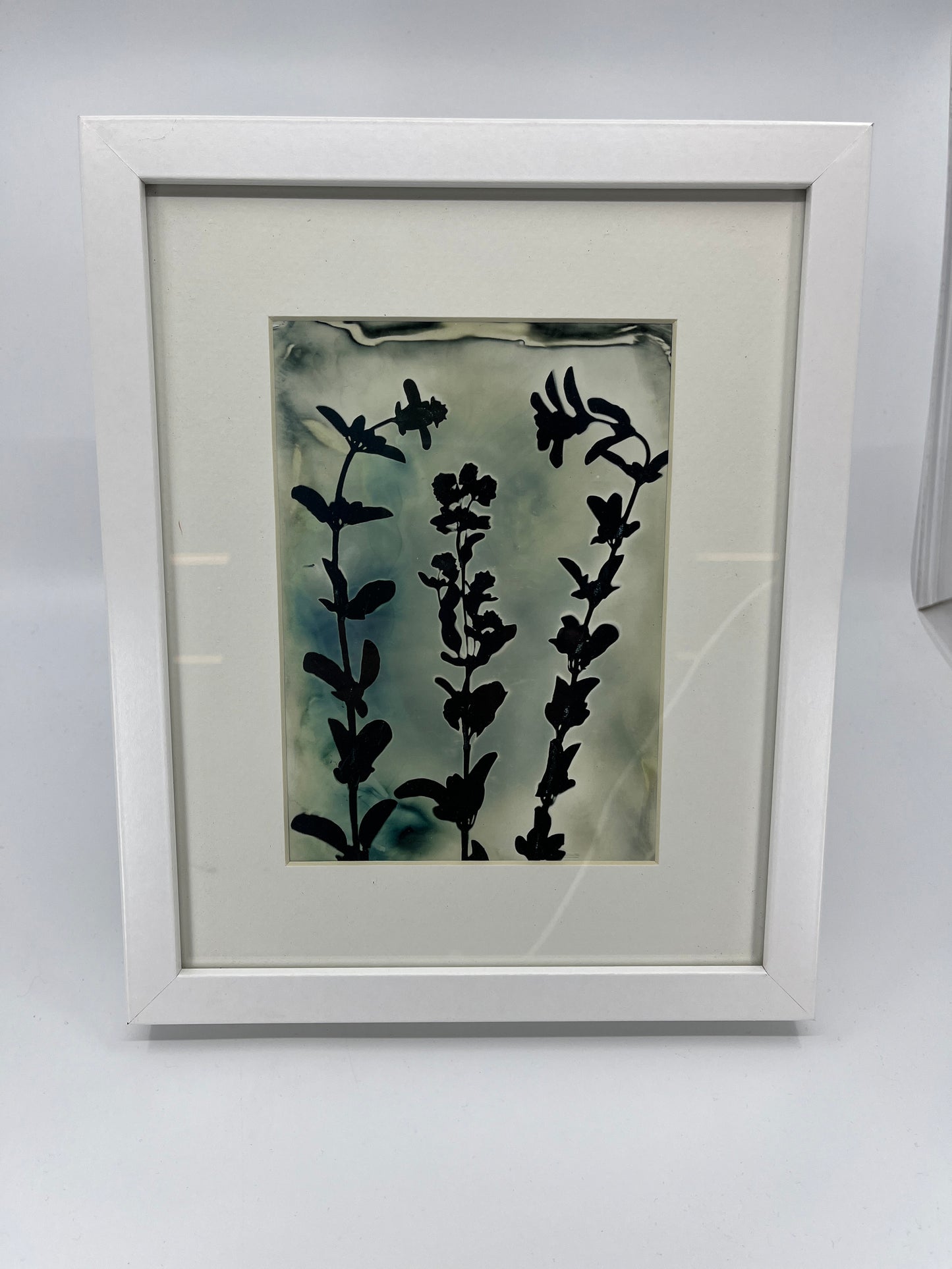 Photogram Print in 8 X 10 Frame