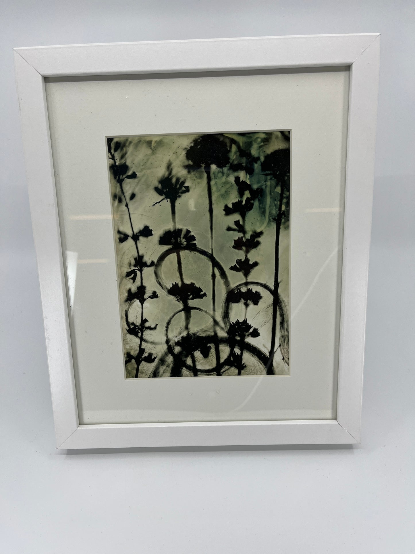 Photogram Print in 8 X 10 Frame