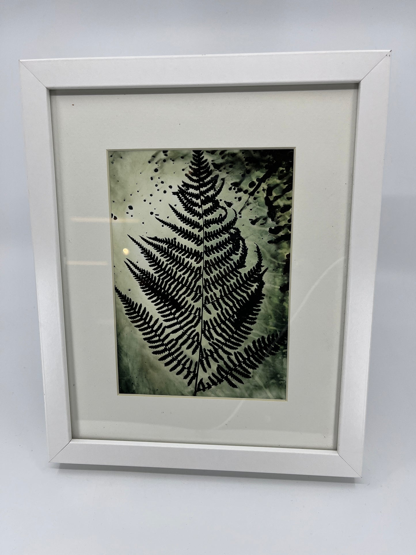 Photogram Print in 8 X 10 Frame