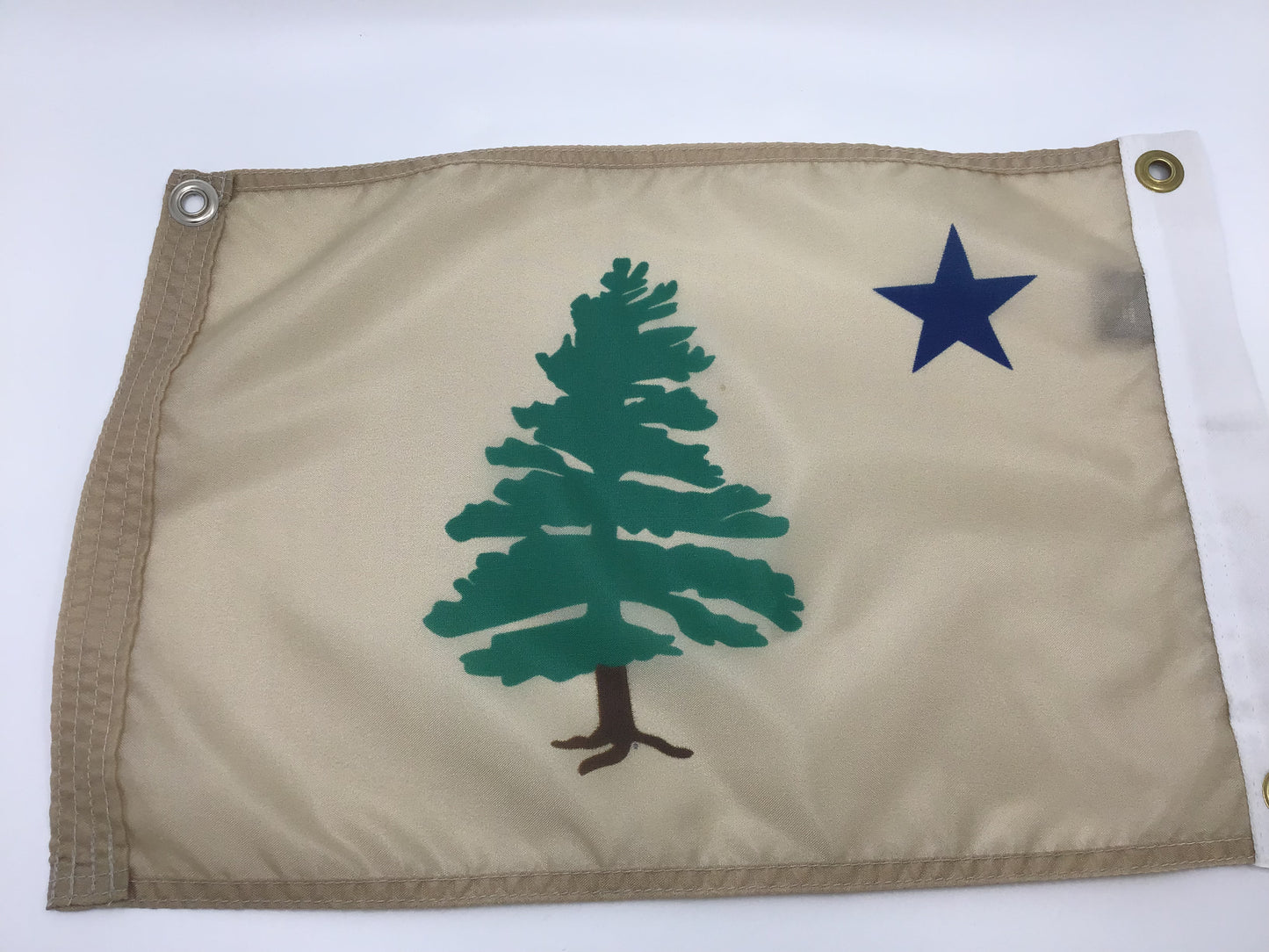 1901 Maine Flag