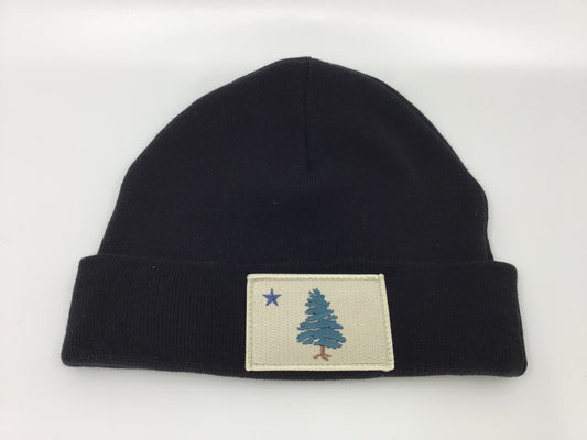 1901 Black Beanie