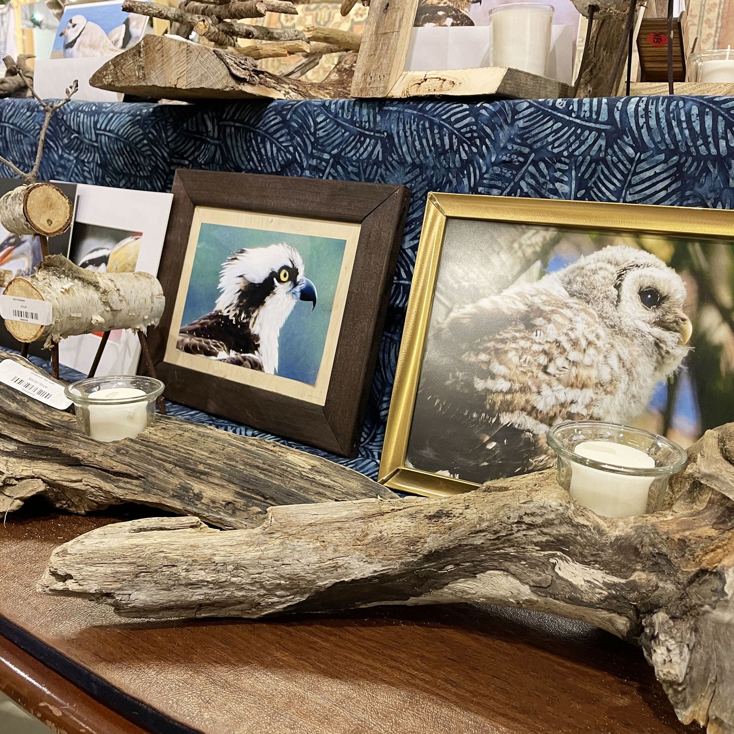 Chris Toy's framed bird photographs and driftwood candleholders
