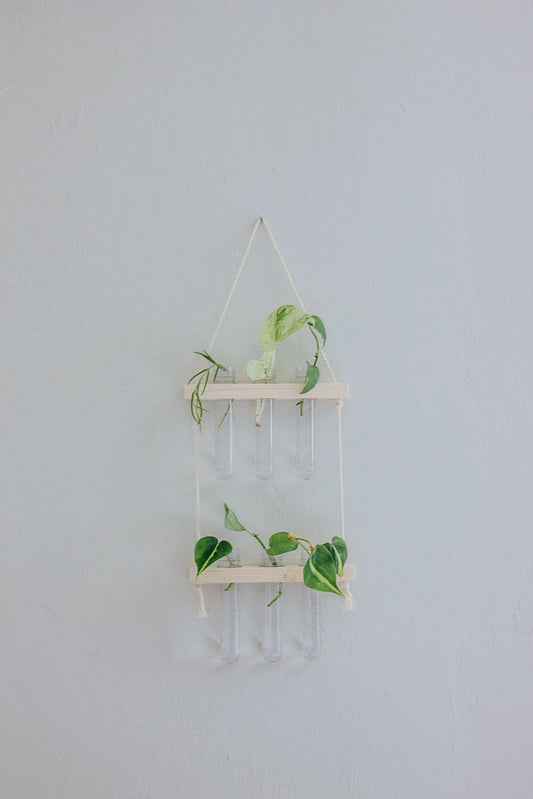 Hanging Propagation Station