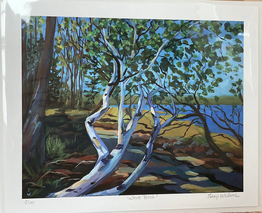 White Birch