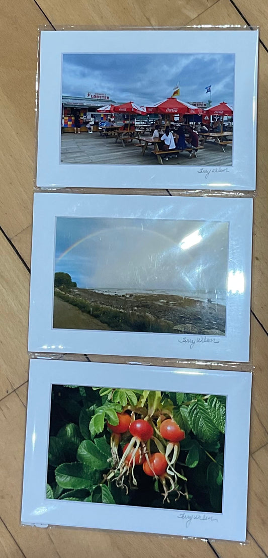 Photographs