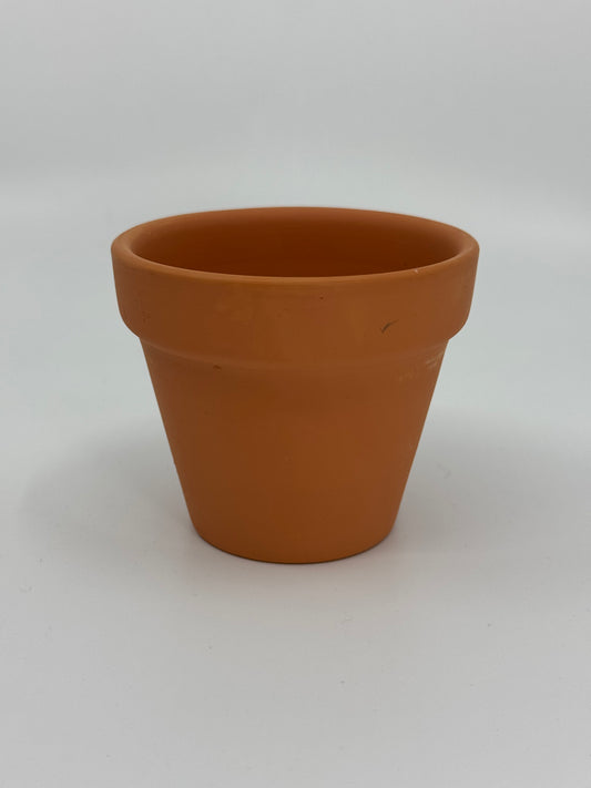 Teeforestation Pot